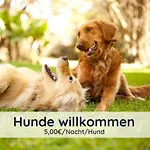 Der Fuchsbau - Lepetit - Im Sonnigen Harz - 3 Hunde Willkommen - 100m Bis Zum Wald - Free Wlan * Bad Sachsa