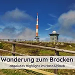 Der Fuchsbau - Lepetit - Im Sonnigen Harz - 3 Hunde Willkommen - 100m Bis Zum Wald - Free Wlan Bad Sachsa