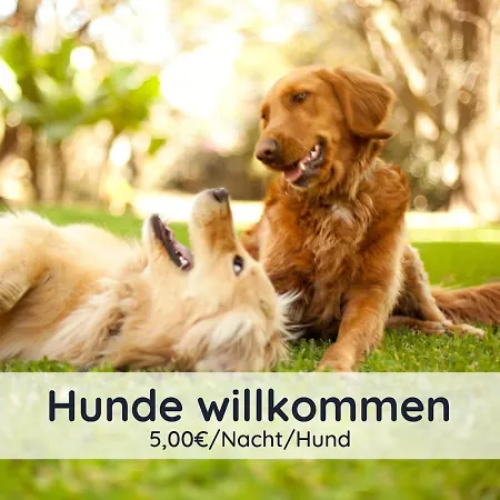 Der Fuchsbau - Fewo Lepetit - Im Sonnigen Harz - Hunde Willkommen - 100M Bis Zum Wald - Free Wlan * Bad Sachsa