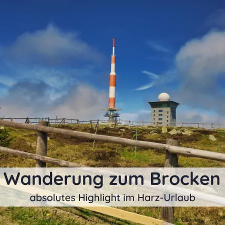 Der Fuchsbau - Lepetit - Im Sonnigen Harz - 3 Hunde Willkommen - 100m Bis Zum Wald - Free Wlan バート・ザクサ