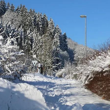 Der Fuchsbau - Fewo Lepetit - Im Sonnigen Harz - Hunde Willkommen - 100M Bis Zum Wald - Free Wlan Apartment Bad Sachsa