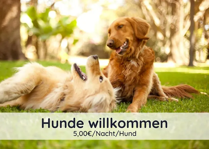 Der Fuchsbau - Lepetit - Im Sonnigen Harz - 3 Hunde Willkommen - 100m Bis Zum Wald - Free Wlan * 巴特萨克萨