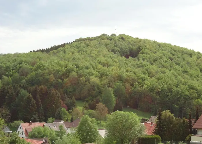 Der Fuchsbau - Lepetit - Im Sonnigen Harz - 3 Hunde Willkommen - 100m Bis Zum Wald - Free Wlan