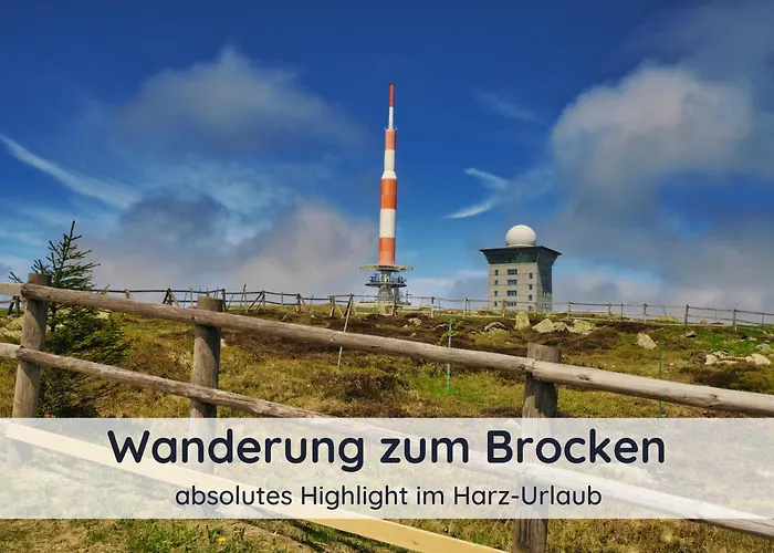Der Fuchsbau - Lepetit - Im Sonnigen Harz - 3 Hunde Willkommen - 100m Bis Zum Wald - Free Wlan 巴特萨克萨