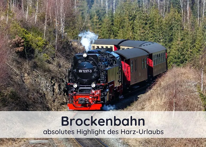 Der Fuchsbau - Lepetit - Im Sonnigen Harz - 3 Hunde Willkommen - 100m Bis Zum Wald - Free Wlan 巴特萨克萨