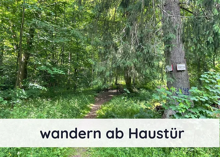Der Fuchsbau - Lepetit - Im Sonnigen Harz - 3 Hunde Willkommen - 100m Bis Zum Wald - Free Wlan 公寓 巴特萨克萨