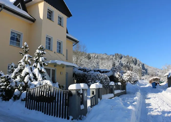 公寓 Der Fuchsbau - Lepetit - Im Sonnigen Harz - 3 Hunde Willkommen - 100m Bis Zum Wald - Free Wlan