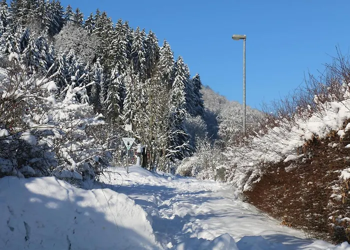 Der Fuchsbau - Lepetit - Im Sonnigen Harz - 3 Hunde Willkommen - 100m Bis Zum Wald - Free Wlan 公寓 巴特萨克萨